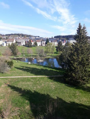 Ferienwohnung Schönwald Im Schwarzwa